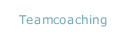 Teamcoaching